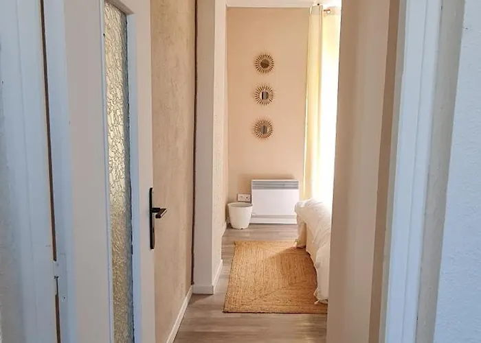 Location Centre Corse Vue Vieux Port Appartement Bastia (Corsica)